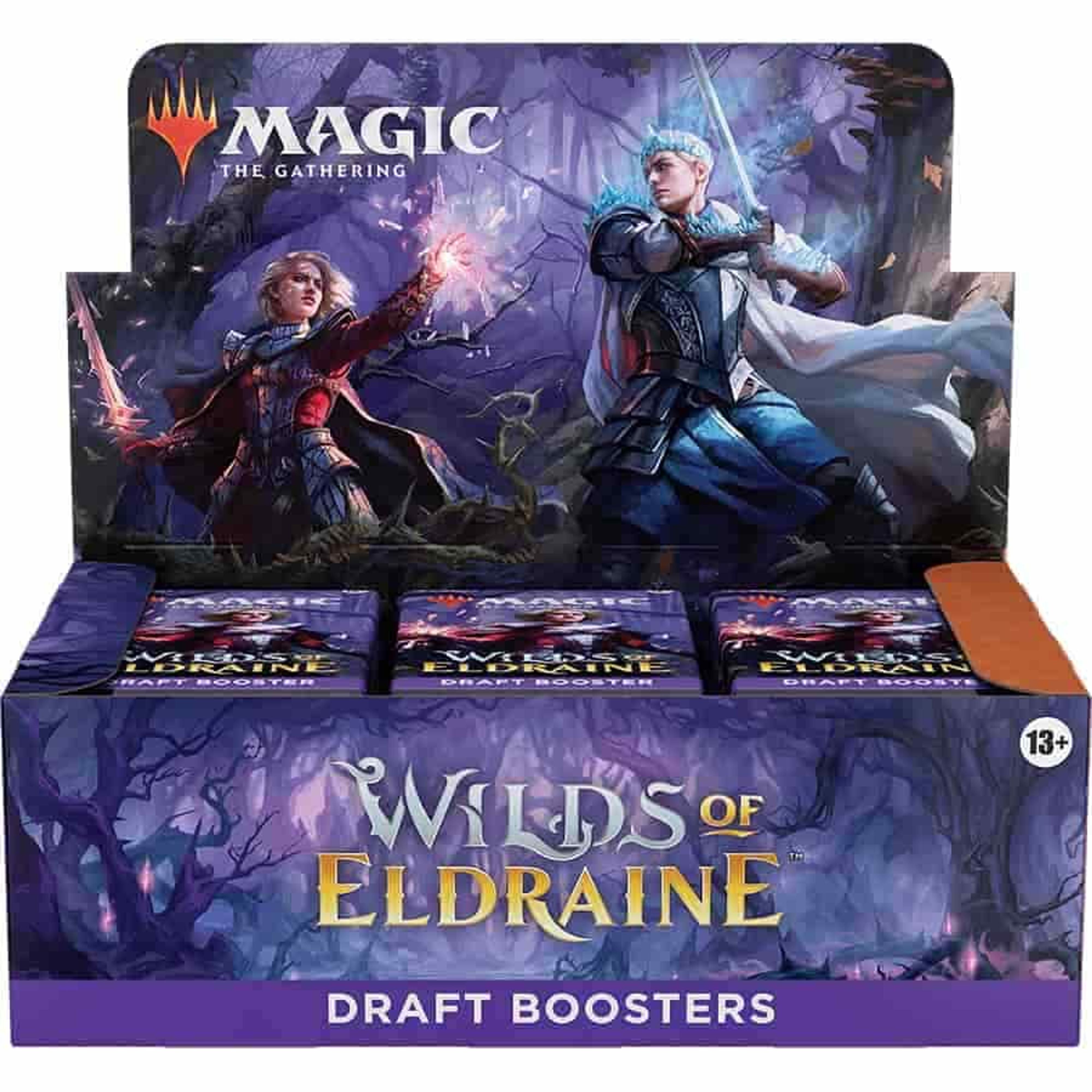 Magic The Gathering: Eldraine Wilds Draft Booster Box - 36 Packs
